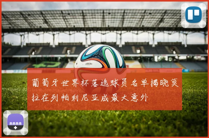 葡萄牙世界杯落选球员名单揭晓莫拉在列帕利尼亚成最大意外